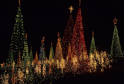 The Top 4 Christmas Activities to do in PDX