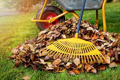 Fall Maintenance Checklist for Single-Family Properties