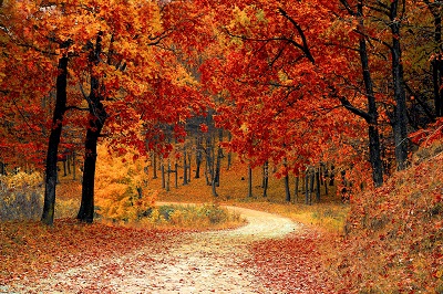 featured image