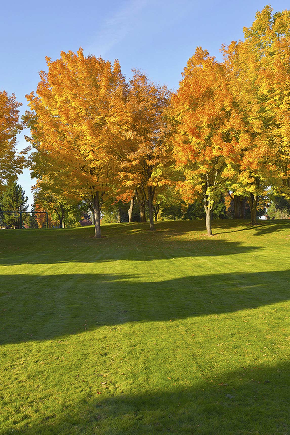 Gresham Property Management